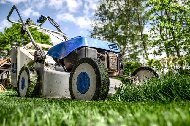 Lawn Maintenance: Using Organic Weed Killers