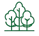 Landscape Design
